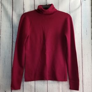 Ann Taylor Extrafine Merino Wool Turtleneck